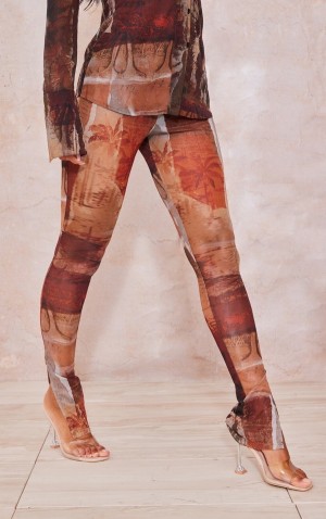 Colanti Pretty Little Thing Abstract Printed Mesh Maro | YRZO96281