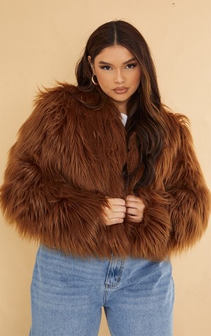 Geci Pretty Little Thing Plus Faux Fur Shaggy Cropped Ciocolata | EJIC14785