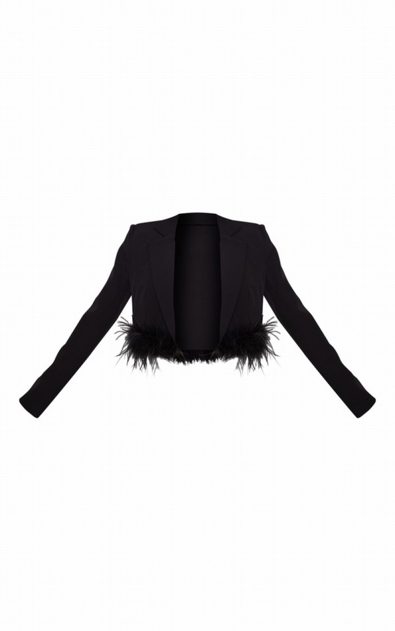 Blazere Pretty Little Thing Petite Feather Edge Cropped Negrii | DXFA48192