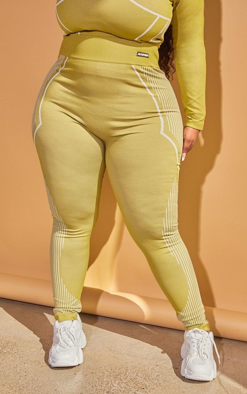 Colanti Pretty Little Thing Plus Seamless Detail Masline Verzi | EAYK52631