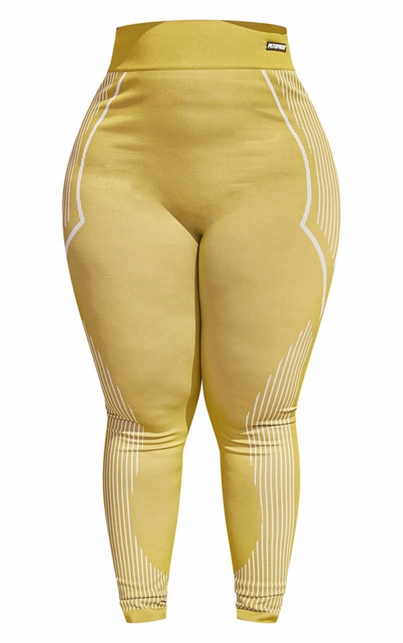 Colanti Pretty Little Thing Plus Seamless Detail Masline Verzi | EAYK52631