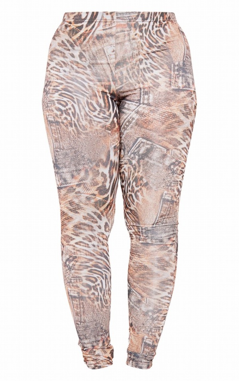 Colanti Pretty Little Thing Shape Leopard Printed Slinky Maro | JEGV30846