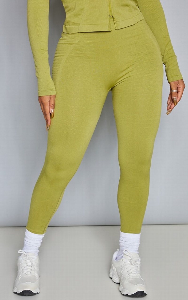 Colanti Pretty Little Thing Shape Olivended Gym Masline Verzi | RHEW68917