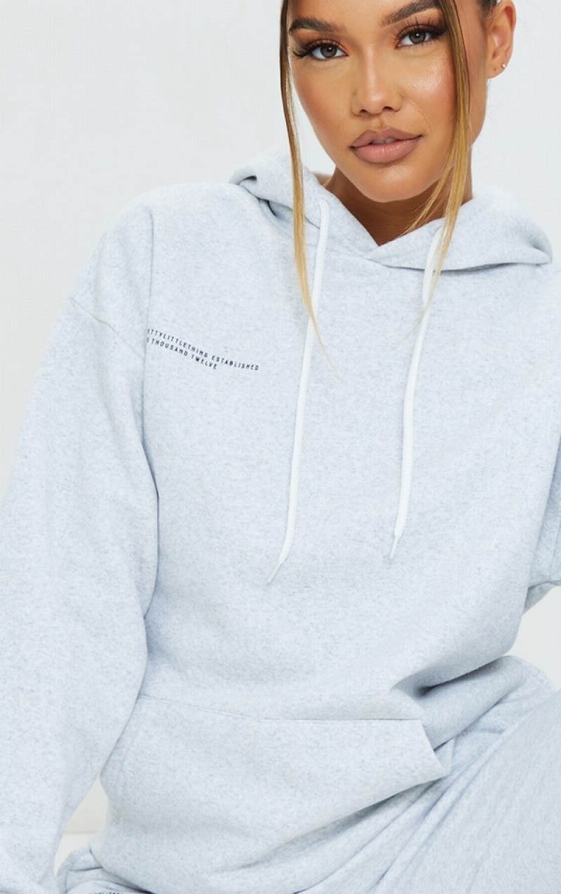 Hanorac cu Gluga Pretty Little Thing Logo Ash Est 2012 Oversized Fit Gri | VPDU91054