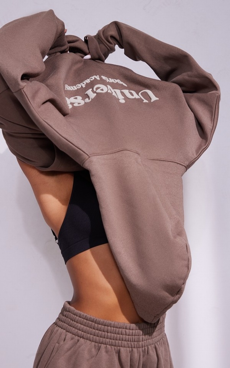 Hanorac cu Gluga Pretty Little Thing Premium Coffee Sports Academy Puff Print Oversized Cafe | NZTC98372