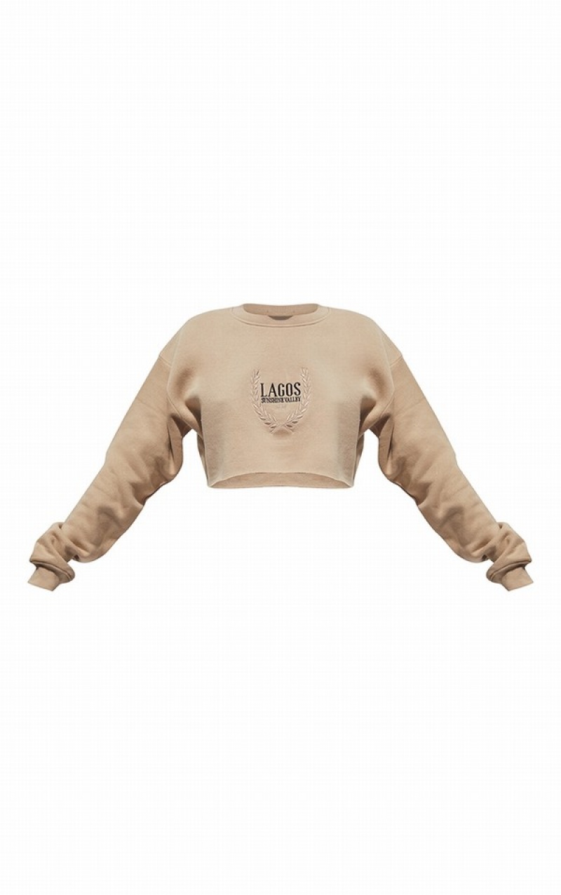 Hanorace Pretty Little Thing Mocha LAGOS Printed Cropped Bej | UBQI23961