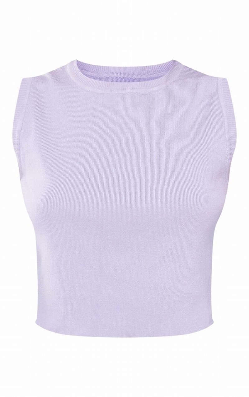 Maiouri Pretty Little Thing Lilac Basic Tricotate Cropped Violet | UEZH25096