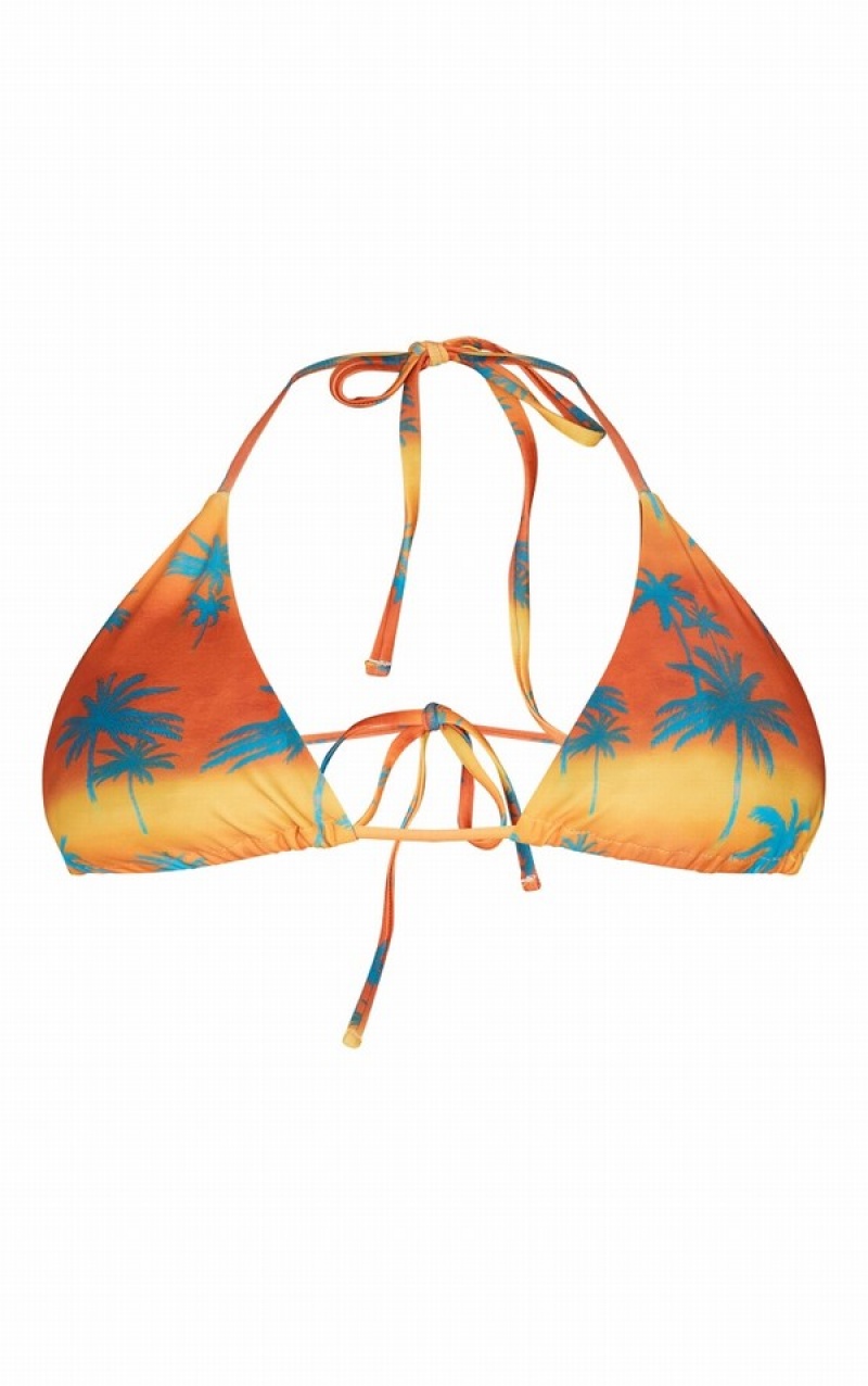 Topuri De Bikini Pretty Little Thing Ombre Palm Tree Print Căptușită Triangle Portocalii | LUEN46051