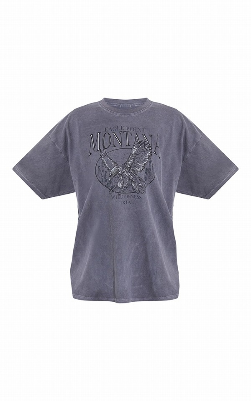 Tricouri Pretty Little Thing Charcoal Montana Logo Oversized Washed Gri | YTNZ54197