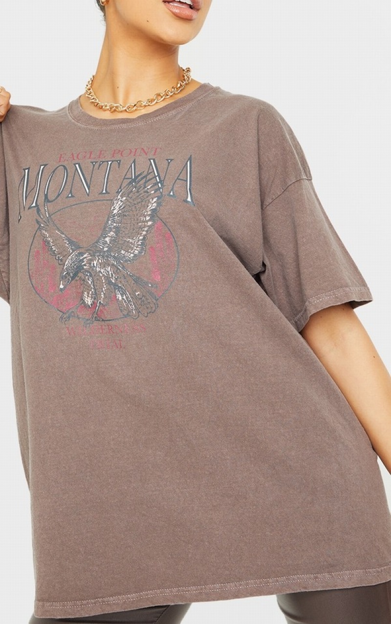 Tricouri Pretty Little Thing Montana Logo Oversized Washed Ciocolata | RNSY92385