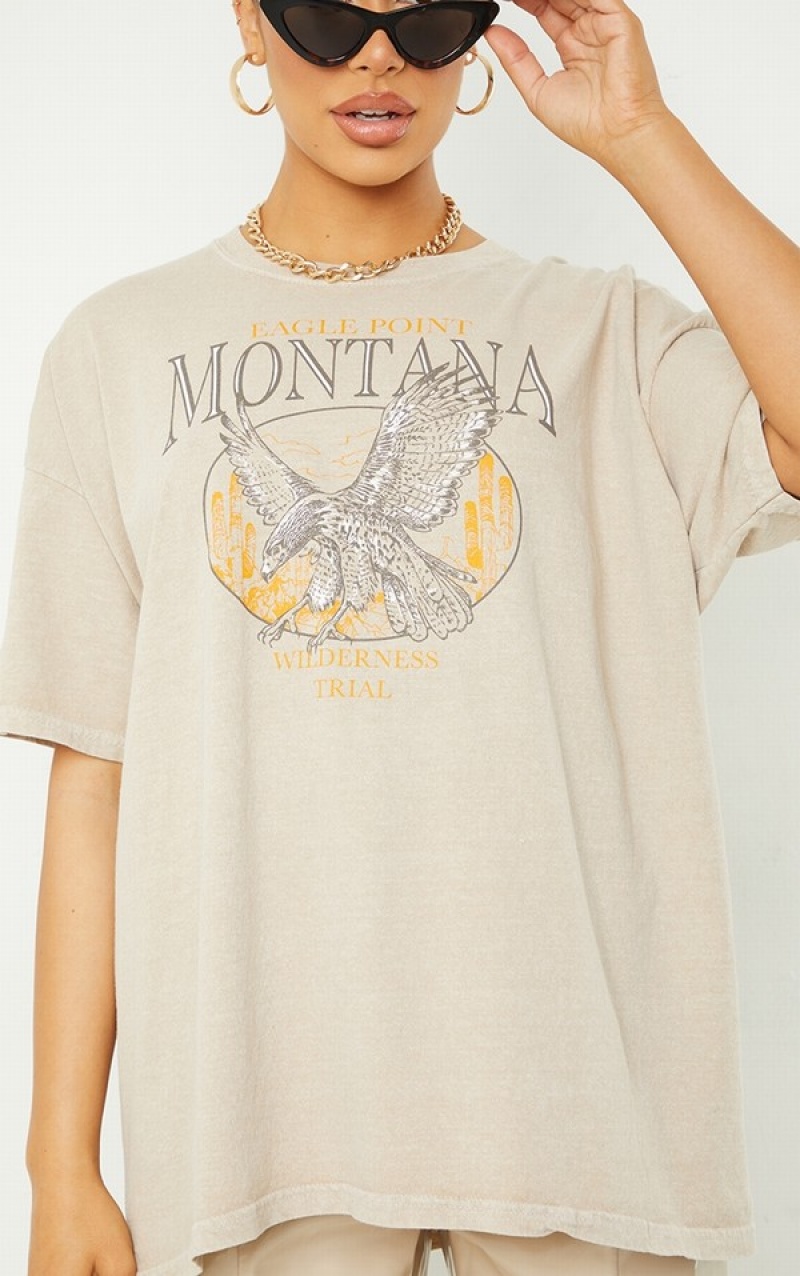 Tricouri Pretty Little Thing Sand Montana Logo Oversized Washed Maro | BOWJ91302