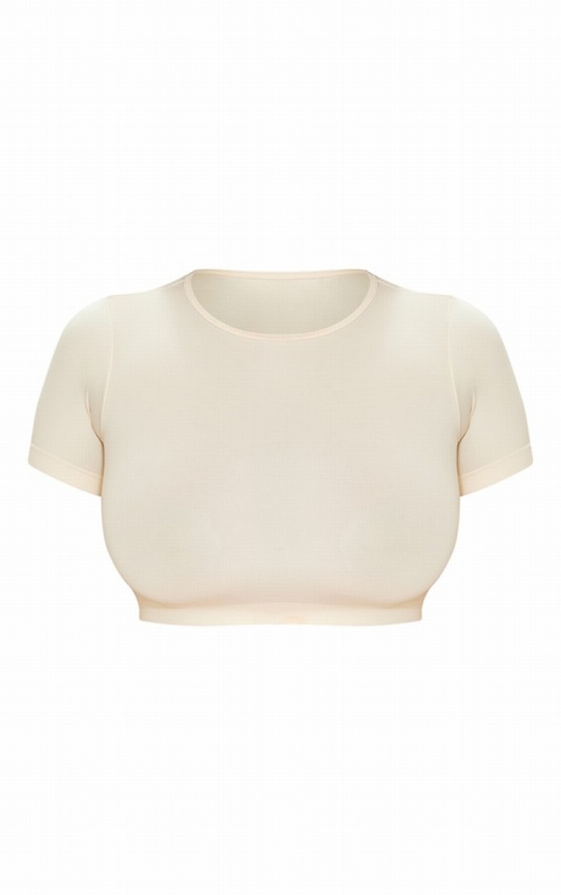 Tricouri Pretty Little Thing Shape Stretch Seamless Cropped Albi | RQZU03174